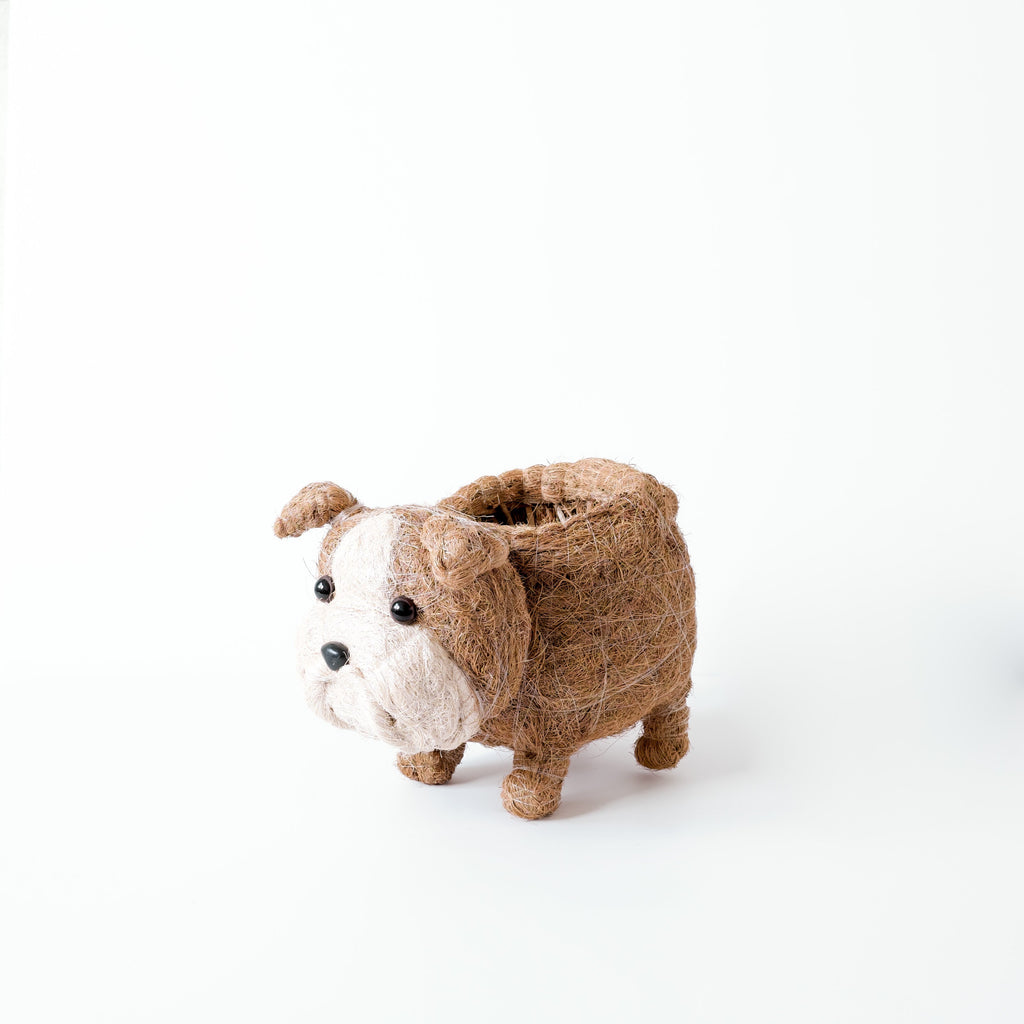 Bulldog Anglais Bébé Jardinière - Jardinière Faite à la Main