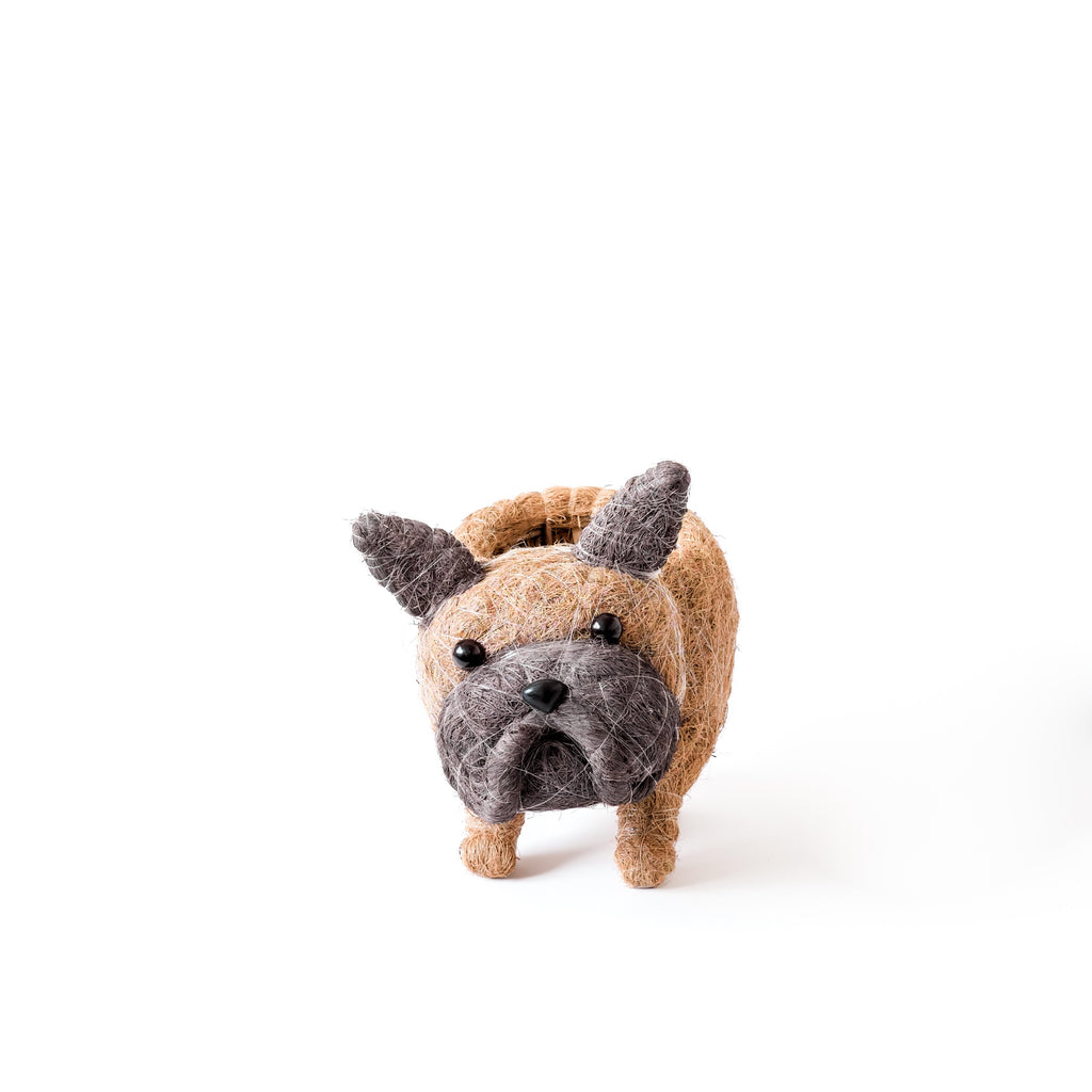 Pot de fleurs pour bébé bouledogue français - Pots en fibre de coco