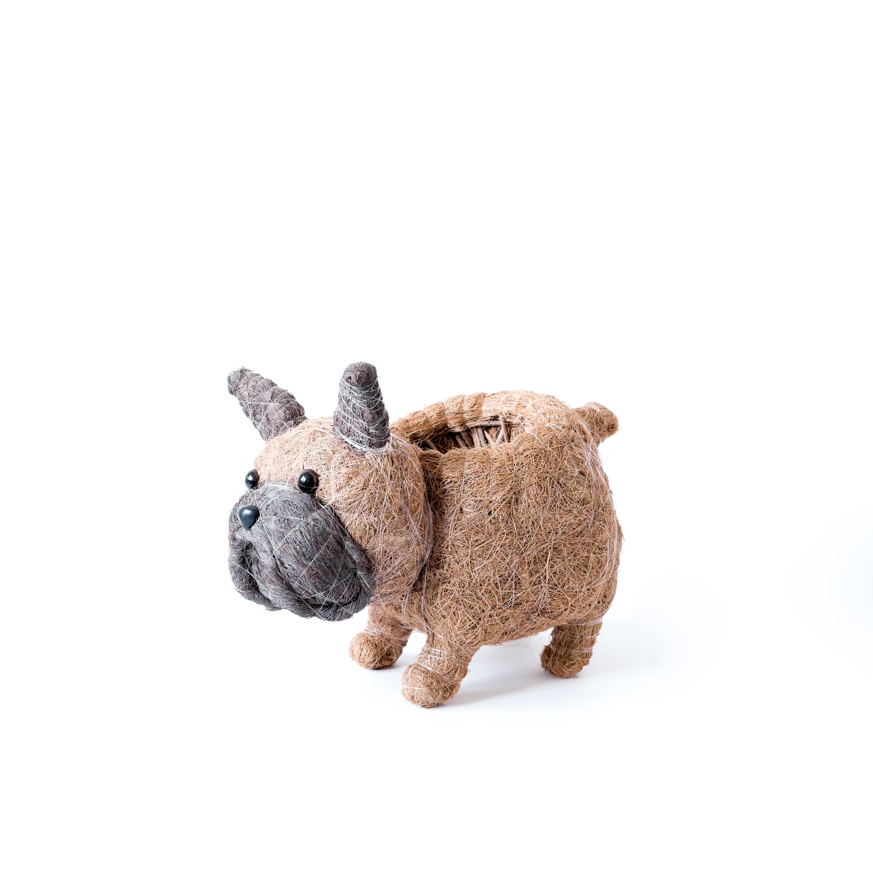 Pot de fleurs pour bébé bouledogue français - Pots en fibre de coco
