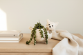 Baby Cat Planter - Indoor Scene