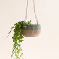Pot de fleurs suspendu - Natural + Sauge - Bac suspendu