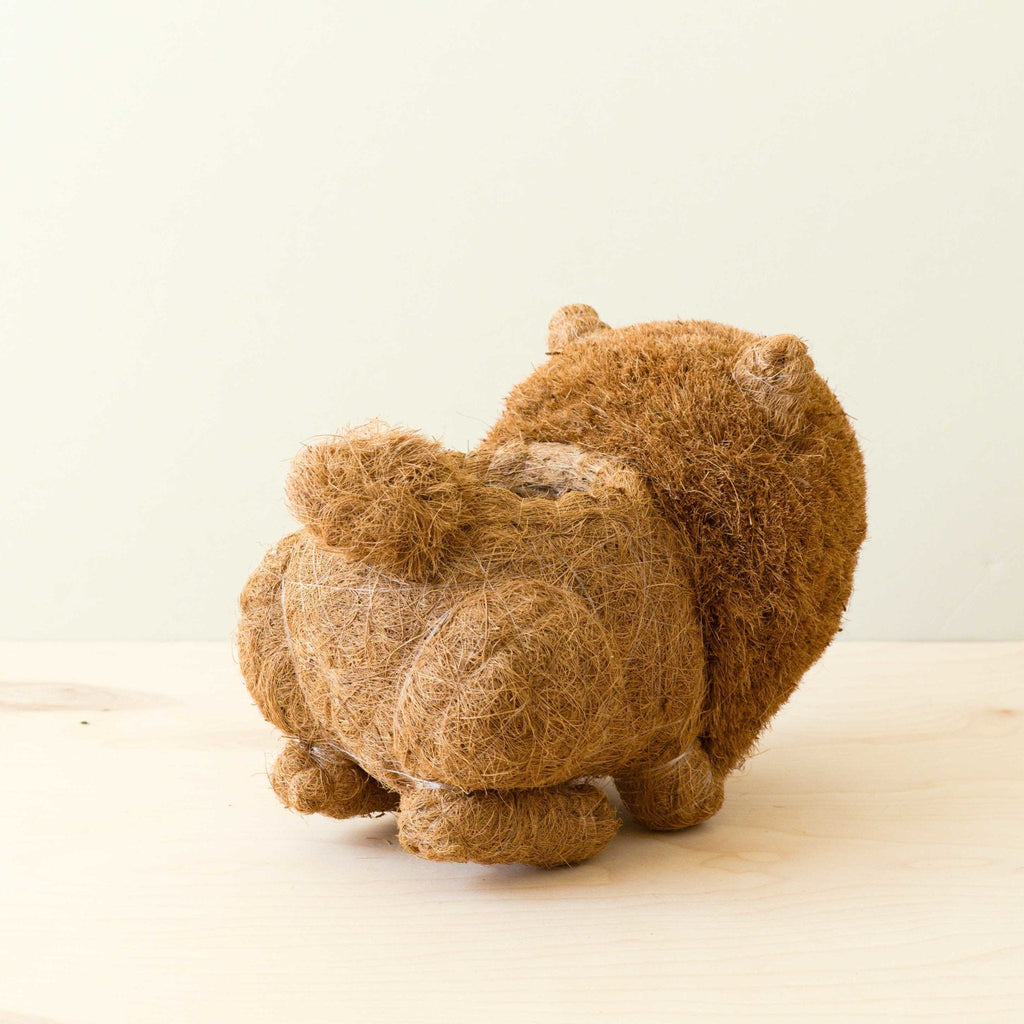 Pot de fleurs Chow Chow - Pot de plantes chien