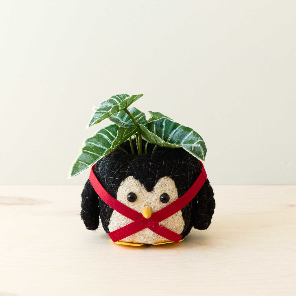 Cache-pot Pingouin - Pot en fibre de coco