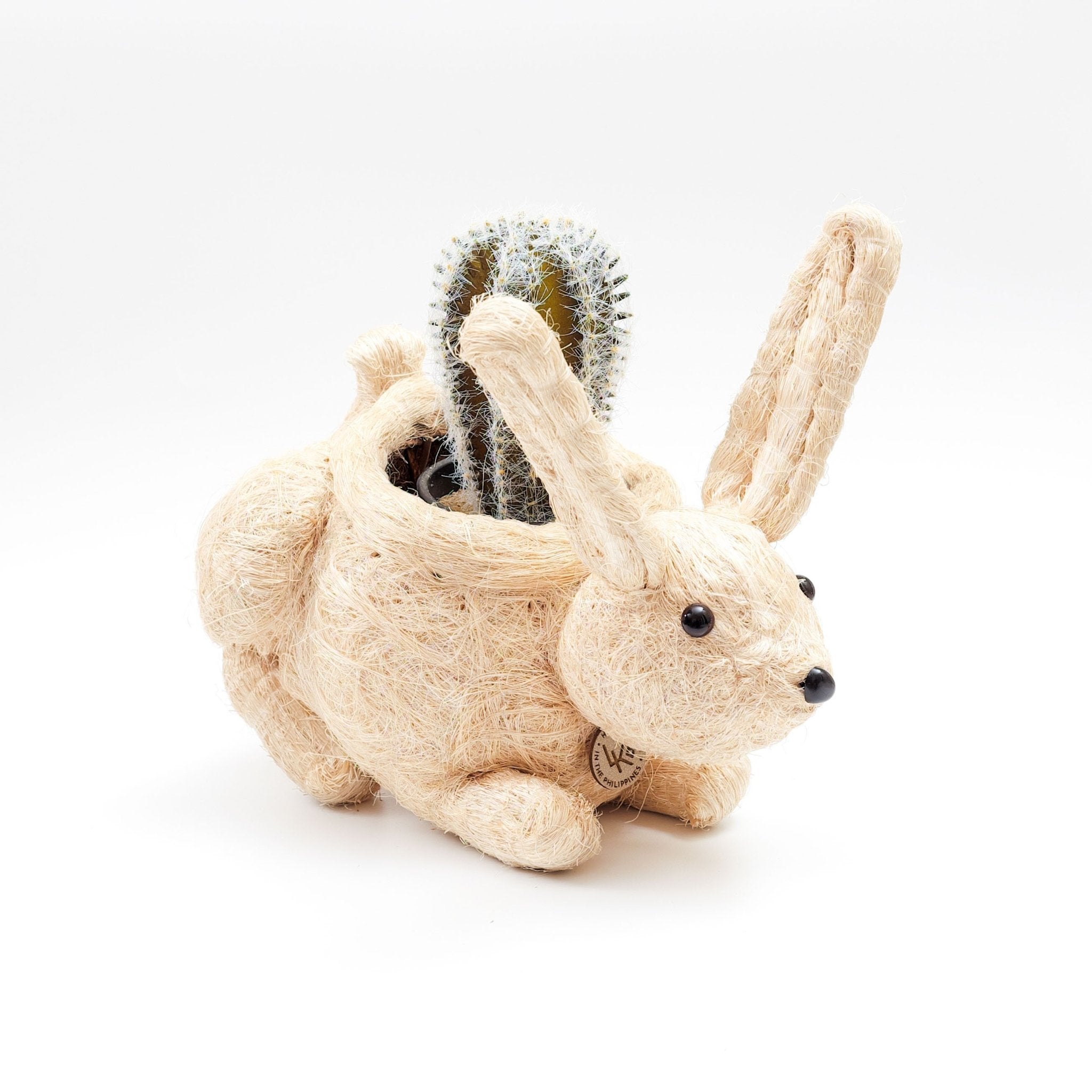 Jardinière Lapin Bébé - Pots en Fibre de Coco
