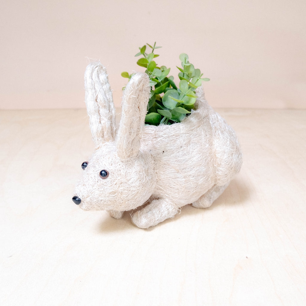 Jardinière Lapin Bébé - Pots en Fibre de Coco