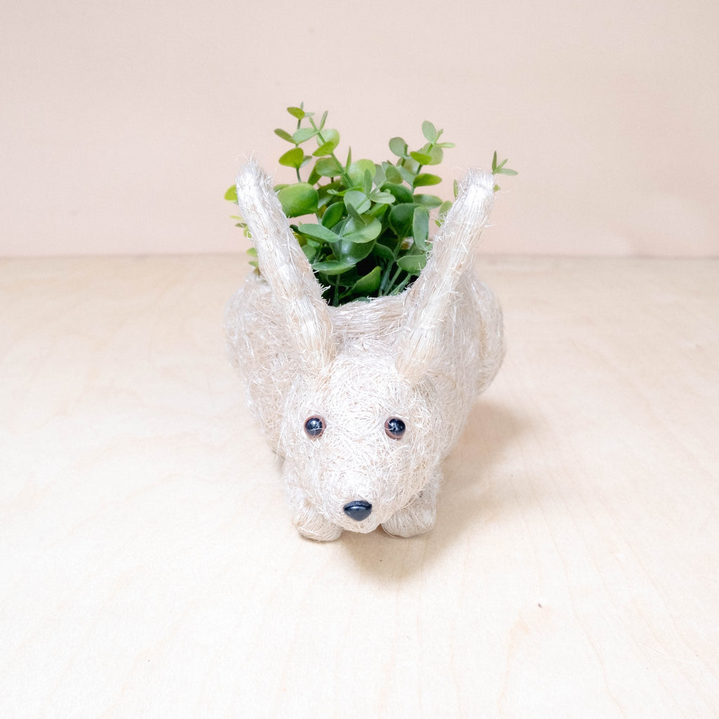 Jardinière Lapin Bébé - Pots en Fibre de Coco