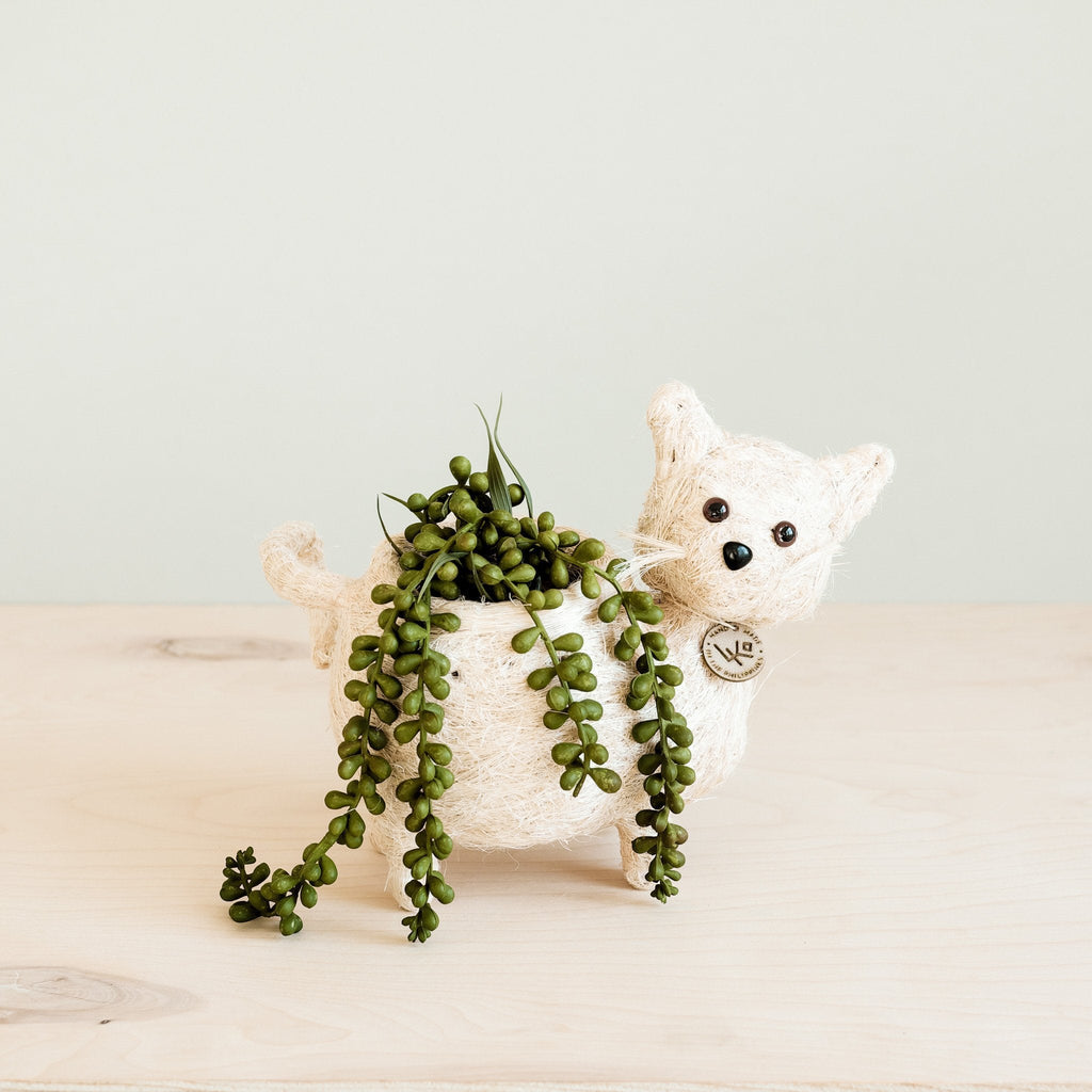 Pot de fleurs « Baby Cat » fait main