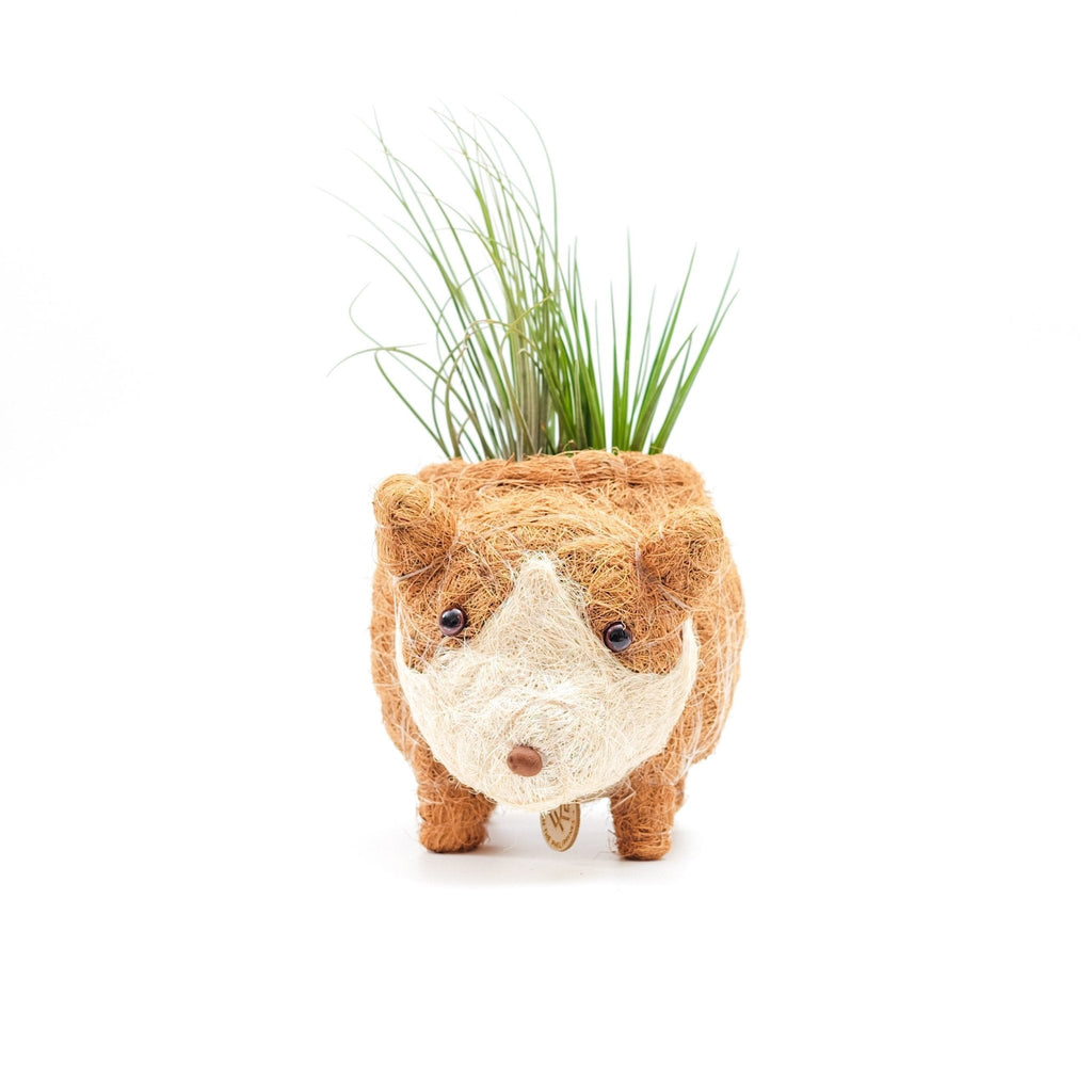 Mini pot de fleurs Corgi - Fait à la main