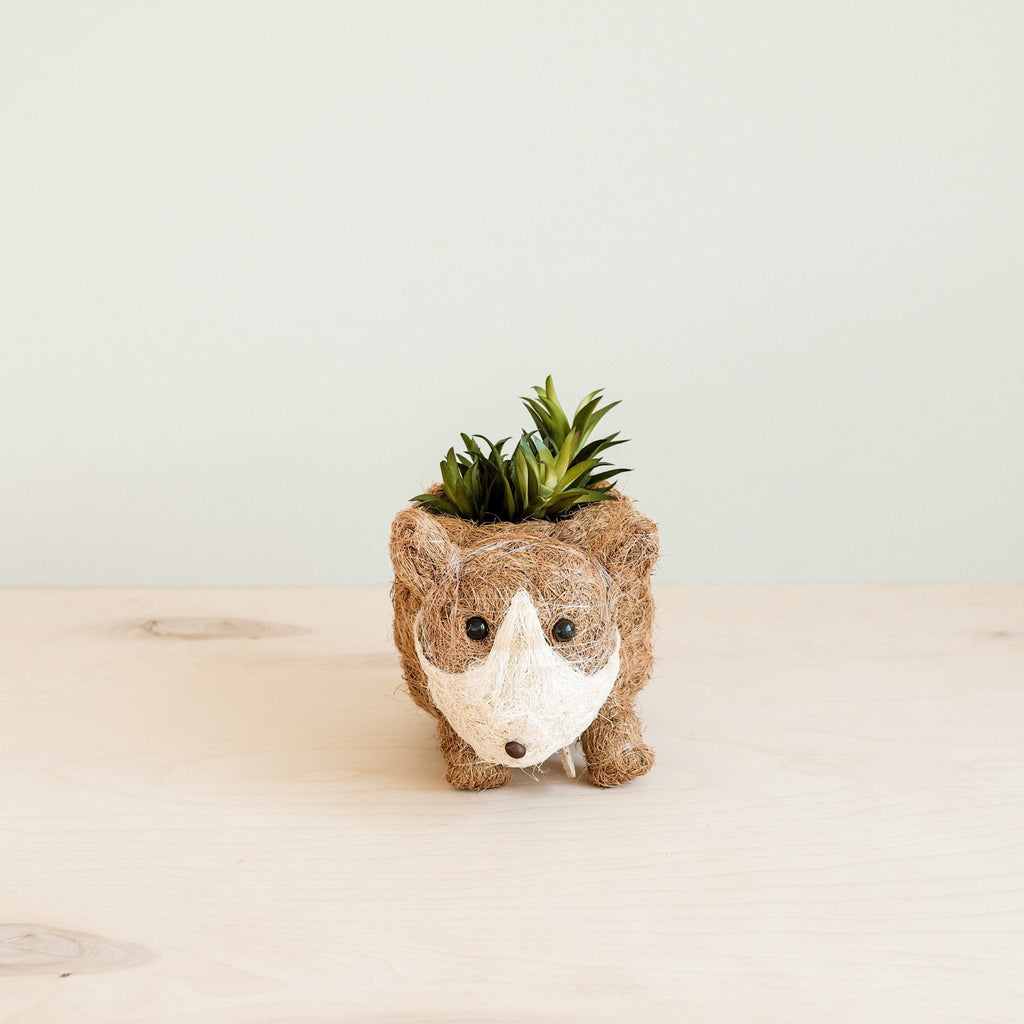Mini pot de fleurs Corgi - Fait à la main