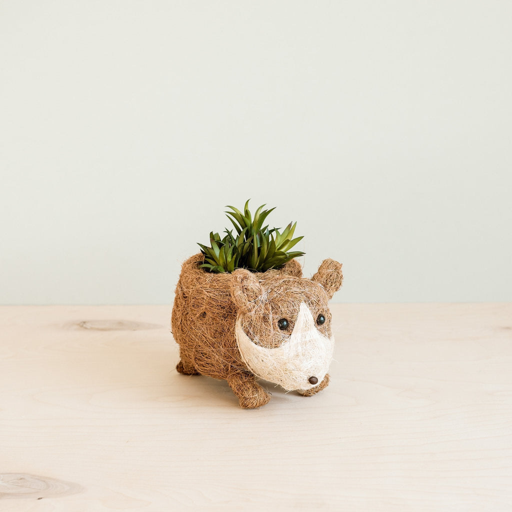 Mini pot de fleurs Corgi - Fait à la main