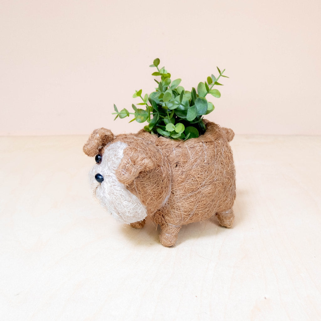 Bulldog Anglais Bébé Jardinière - Jardinière Faite à la Main