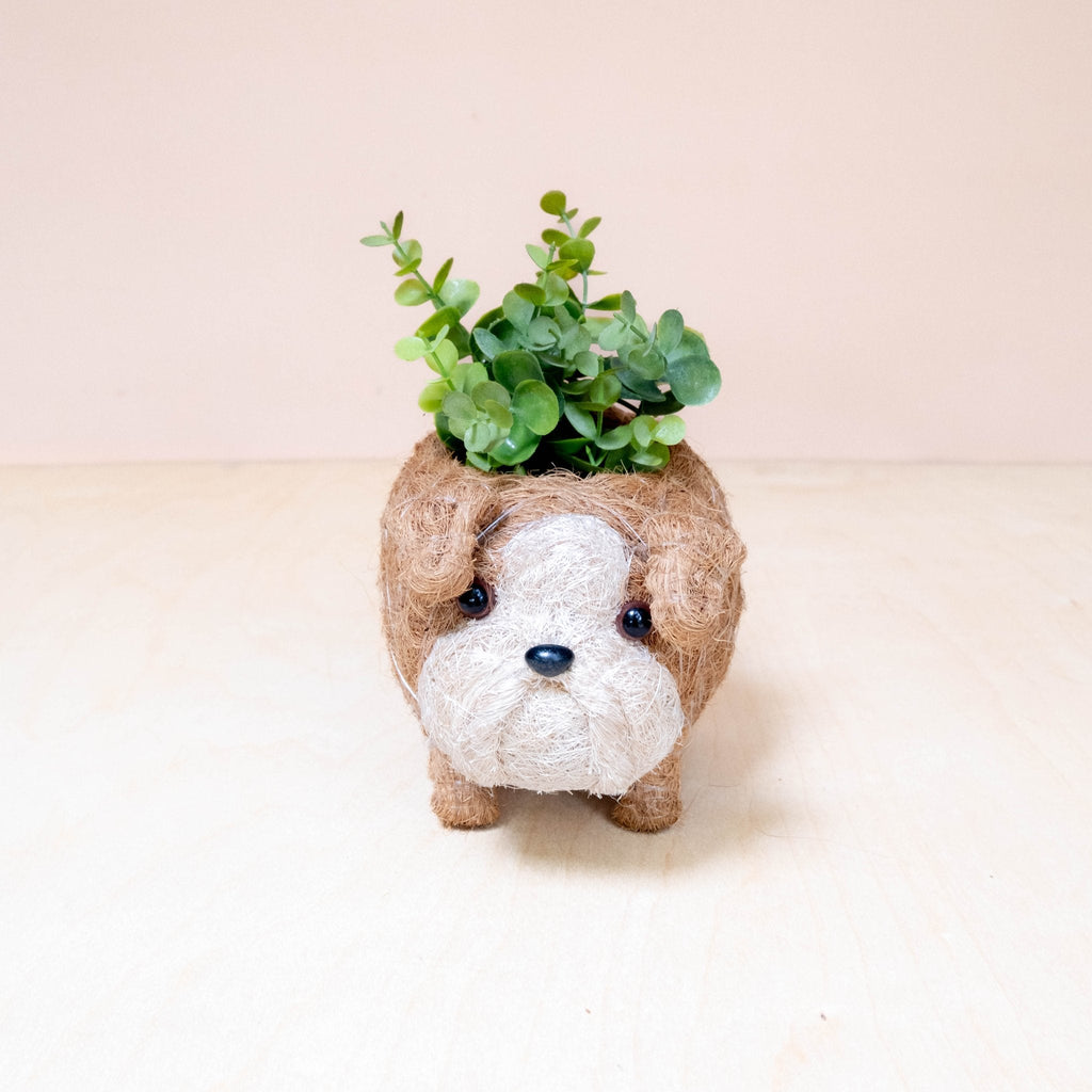 Bulldog Anglais Bébé Jardinière - Jardinière Faite à la Main