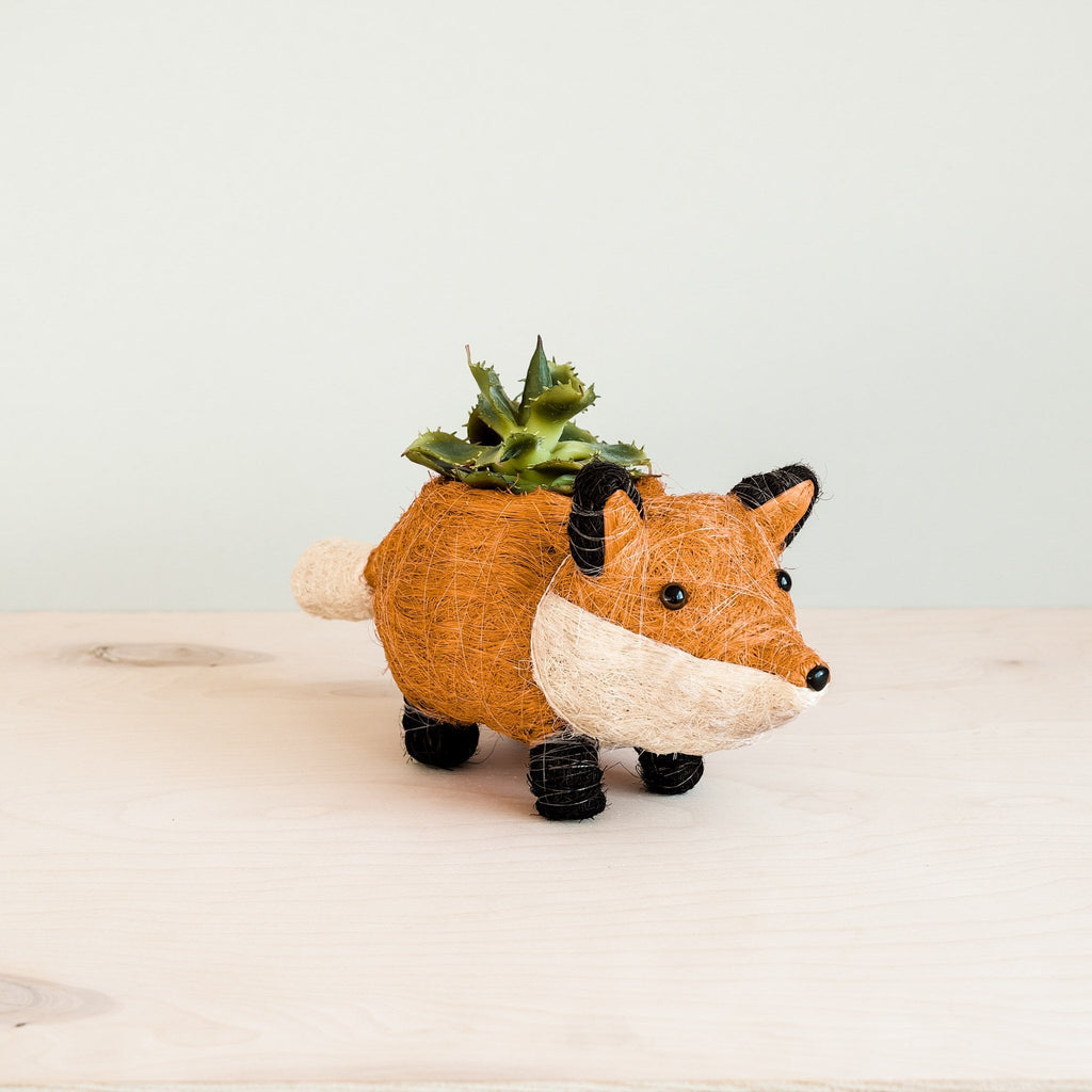 Jardinière Bébé Renard - Pot Fait Main