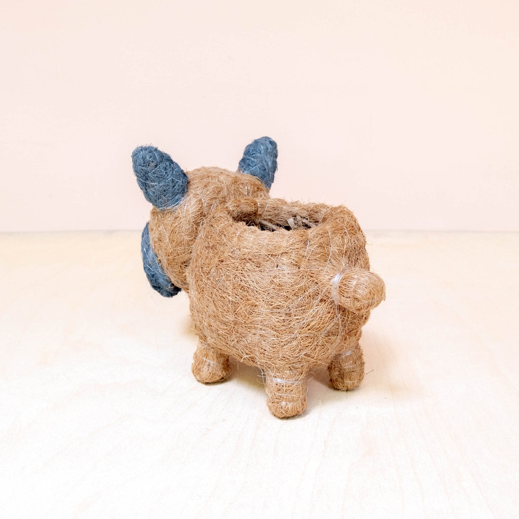 Pot de fleurs pour bébé bouledogue français - Pots en fibre de coco