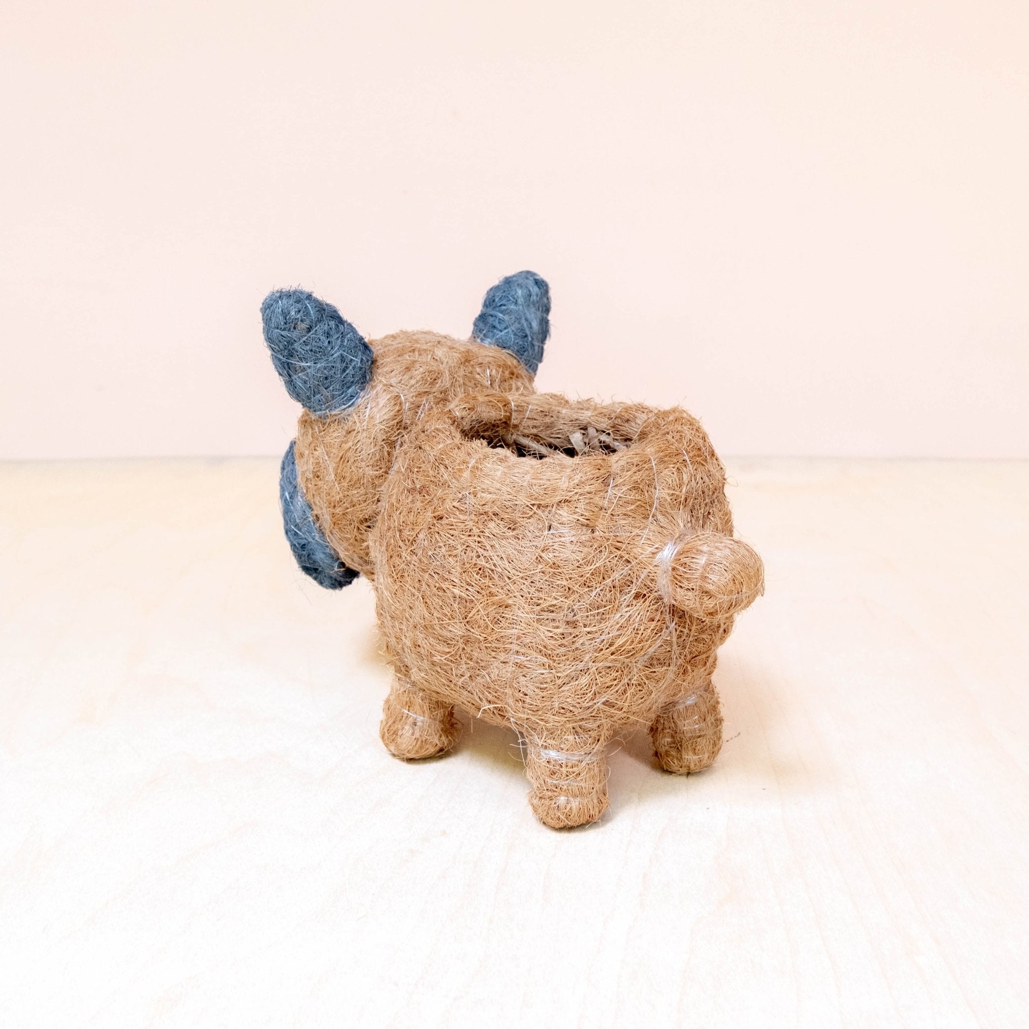 Pot de fleurs pour bébé bouledogue français - Pots en fibre de coco