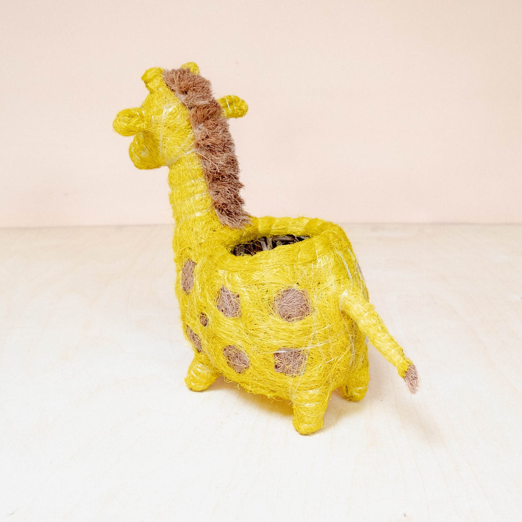 Jardinière Girafe Bébé - Pots en Fibre de Coco
