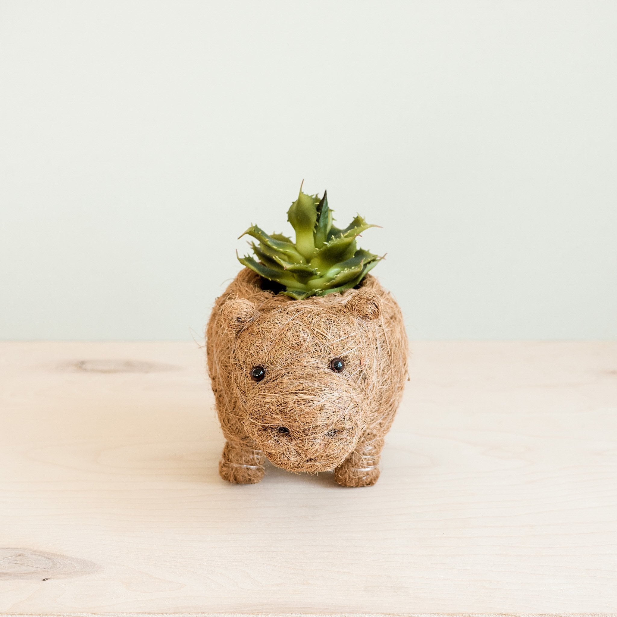 Pot de fleur bébé hippopotame – Pots faits main