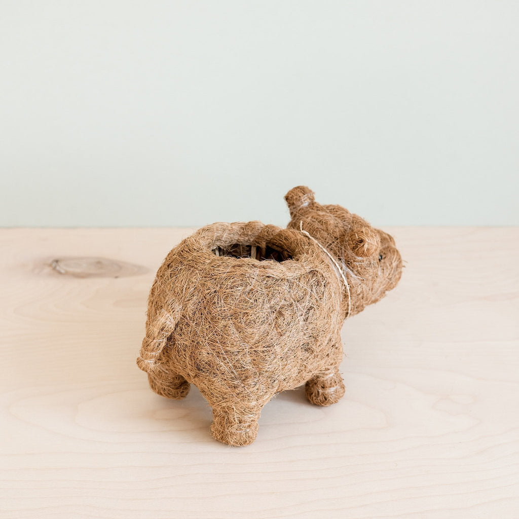Pot de fleur bébé hippopotame – Pots faits main