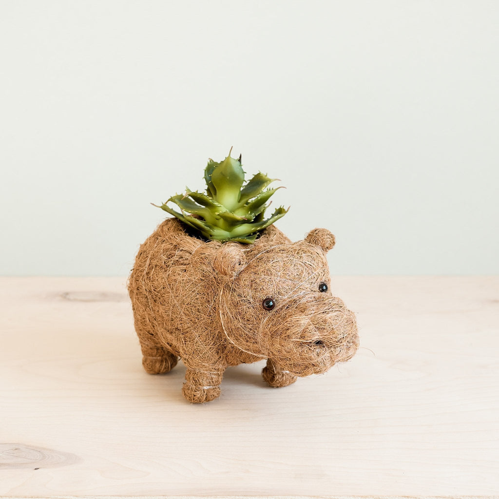 Pot de fleur bébé hippopotame – Pots faits main