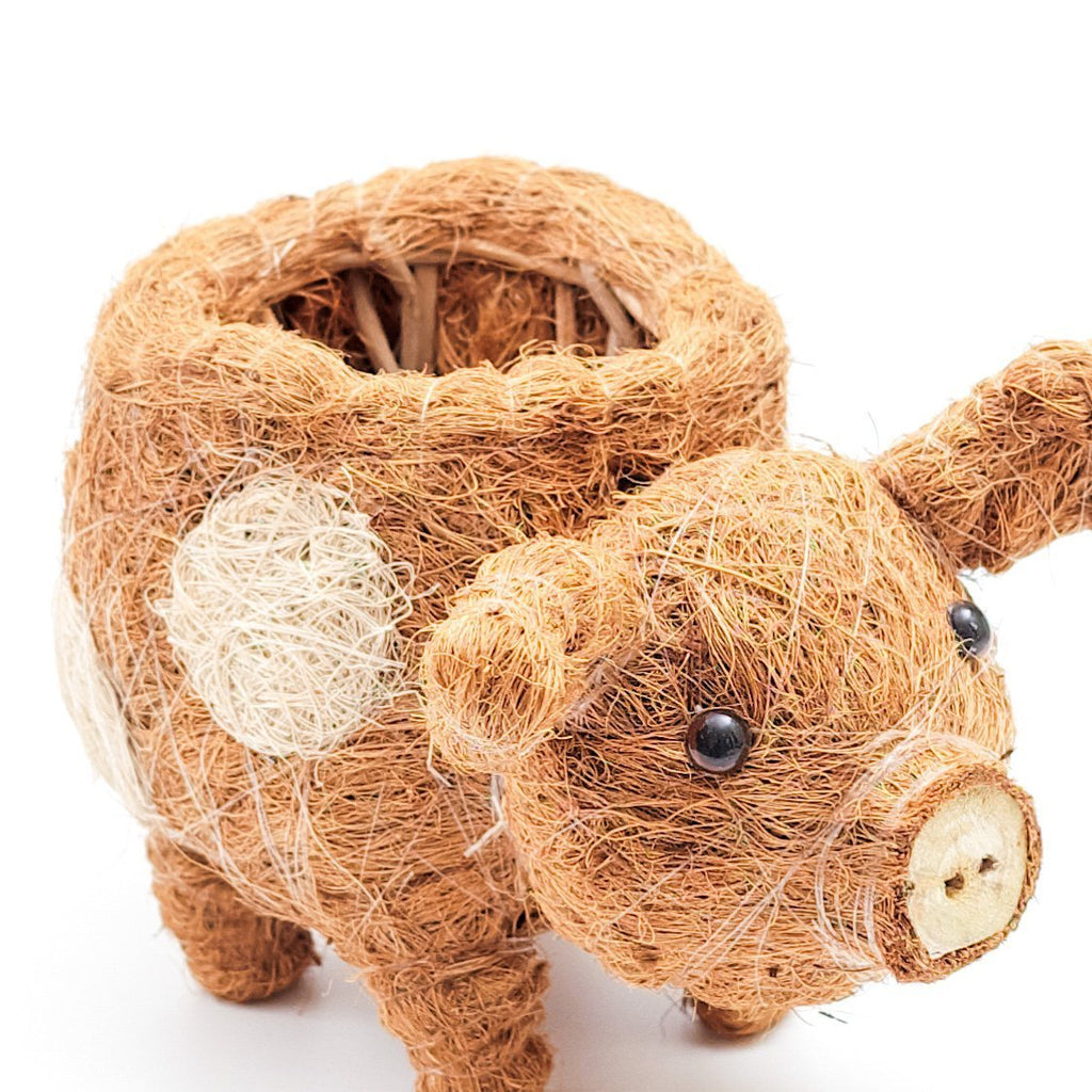 Pot de fleurs cochon succulent - Jardinières artisanales