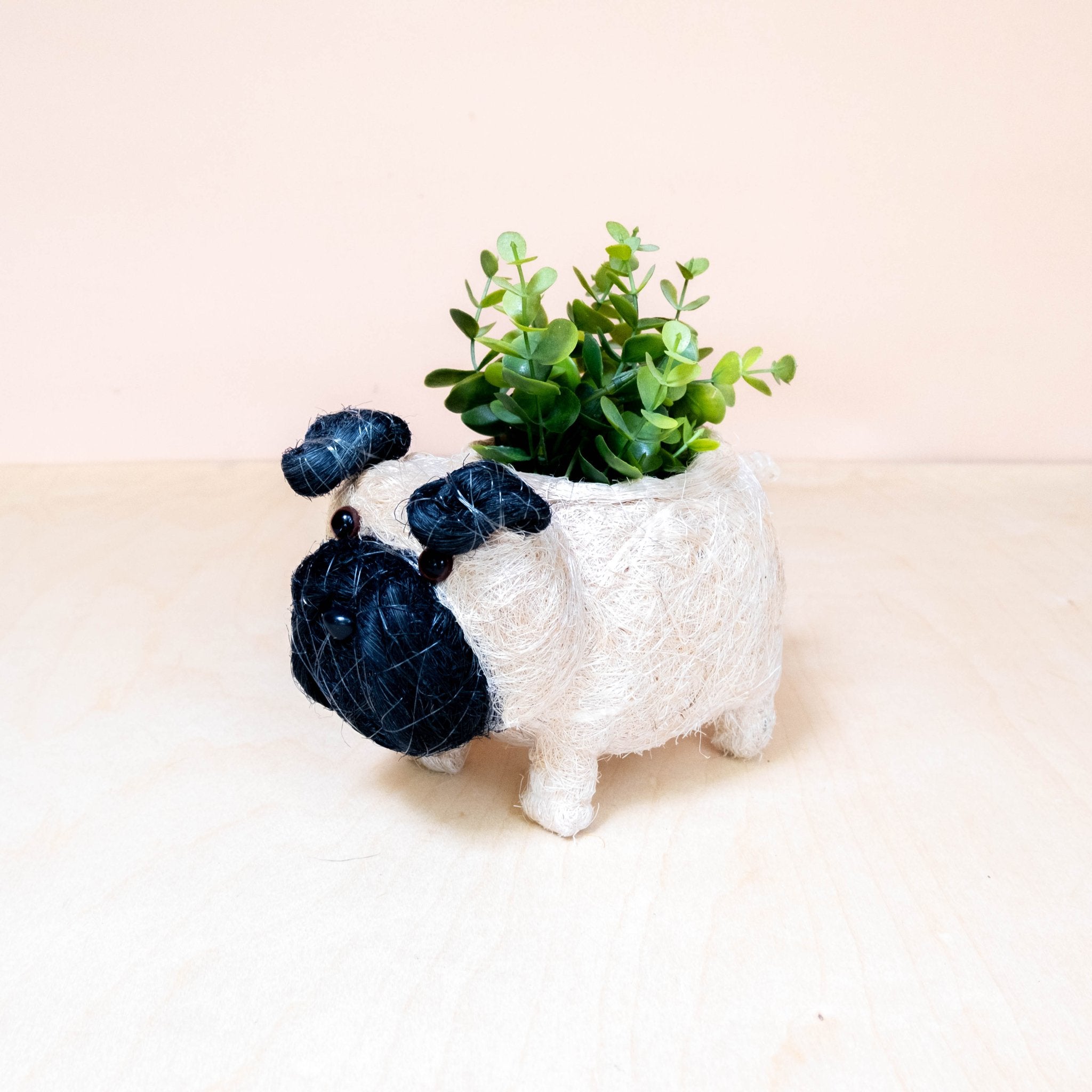Pot de fleurs Bébé Carlin - Pots en fibre de coco
