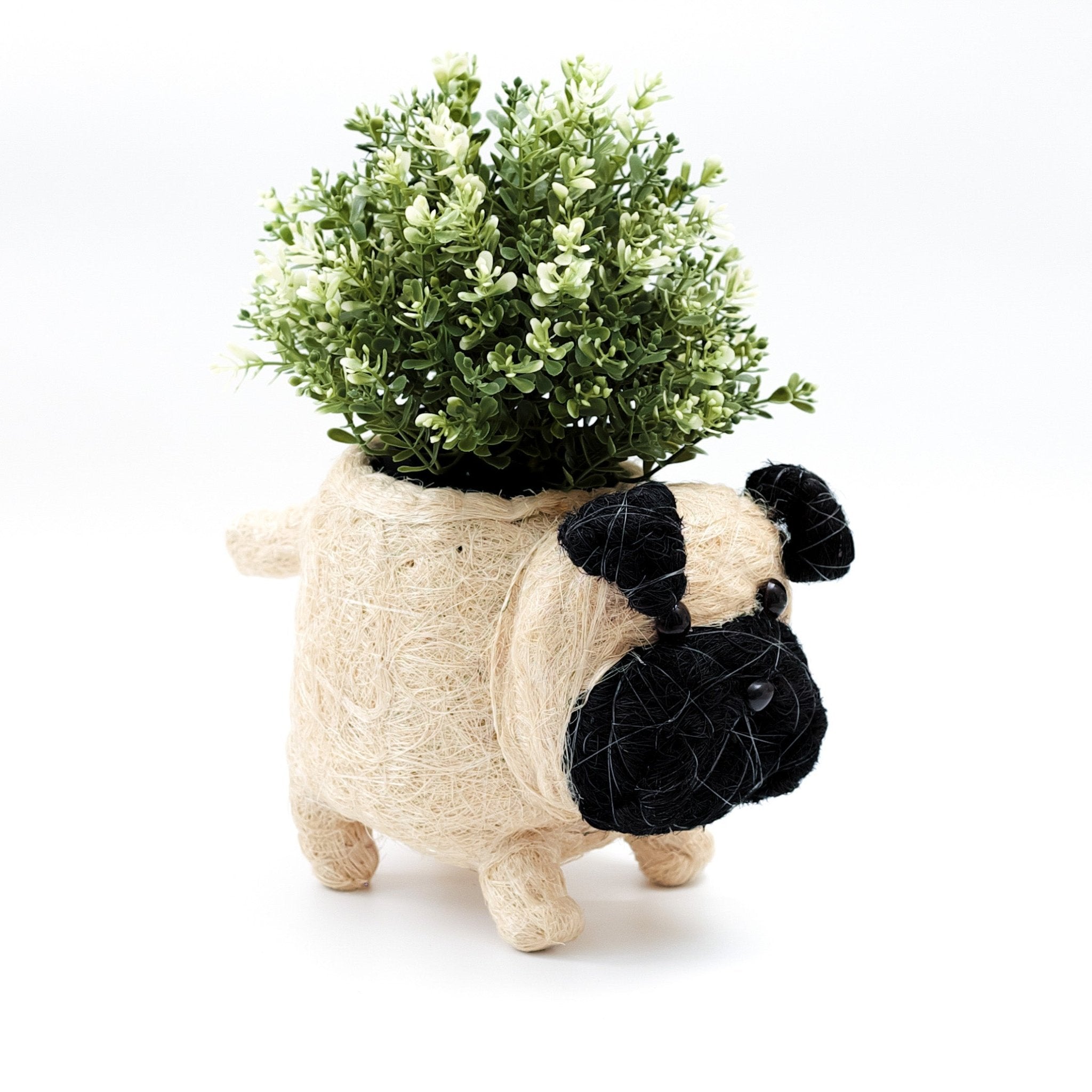 Pot de fleurs Bébé Carlin - Pots en fibre de coco