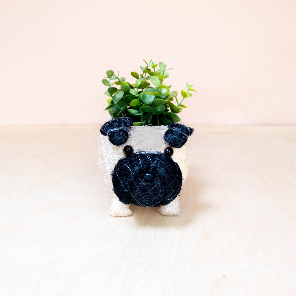 Pot de fleurs Bébé Carlin - Pots en fibre de coco