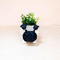 Pot de fleurs Bébé Carlin - Pots en fibre de coco