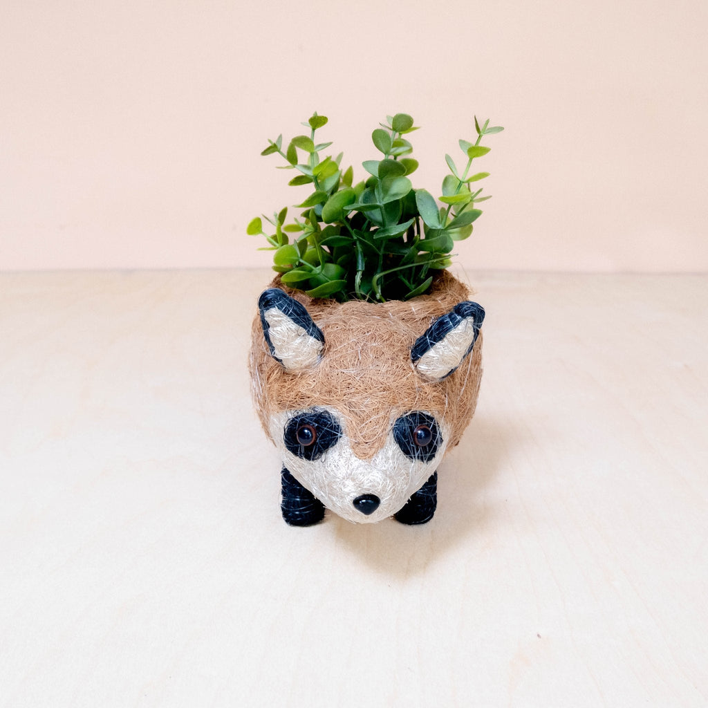 Pot de fleurs Raton laveur - Fait main