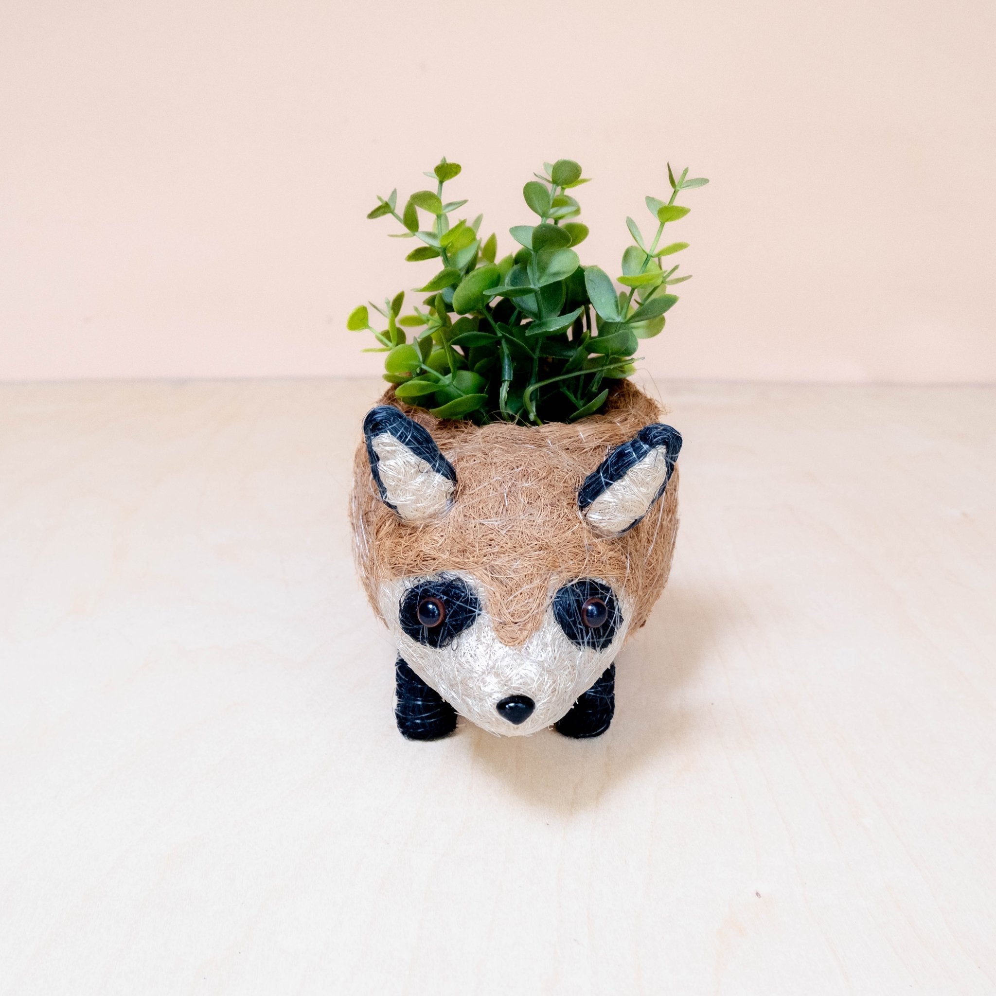 Pot de fleurs Raton laveur - Fait main