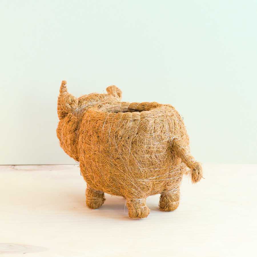 Pot de fleurs Bébé Rhinocéros - Pot en fibre de coco