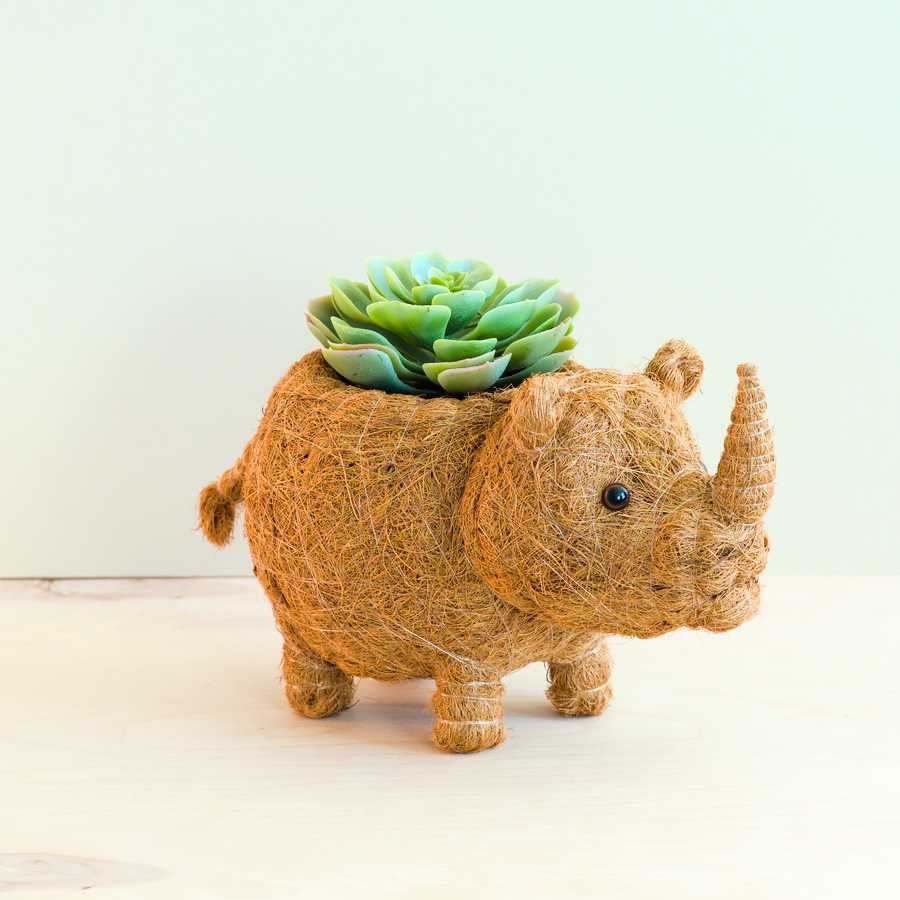 Pot de fleurs Bébé Rhinocéros - Pot en fibre de coco