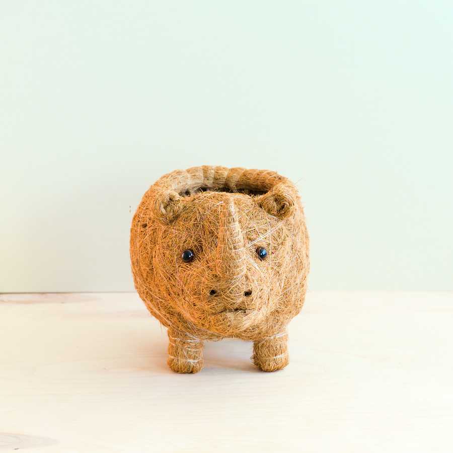 Pot de fleurs Bébé Rhinocéros - Pot en fibre de coco
