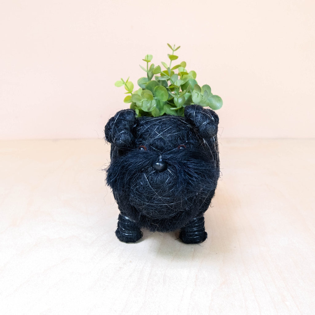 Pot de fleurs Bébé Schnauzer - Fibre de coco
