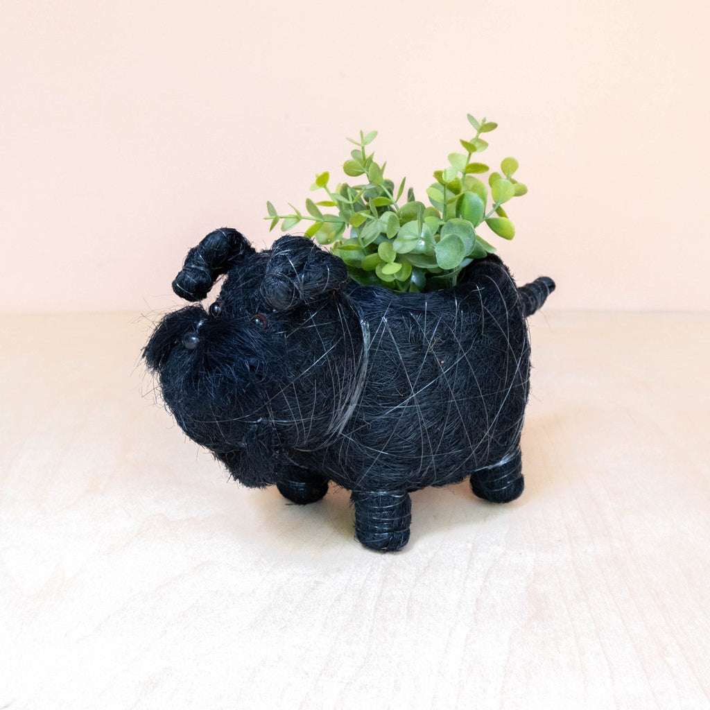 Pot de fleurs Bébé Schnauzer - Fibre de coco