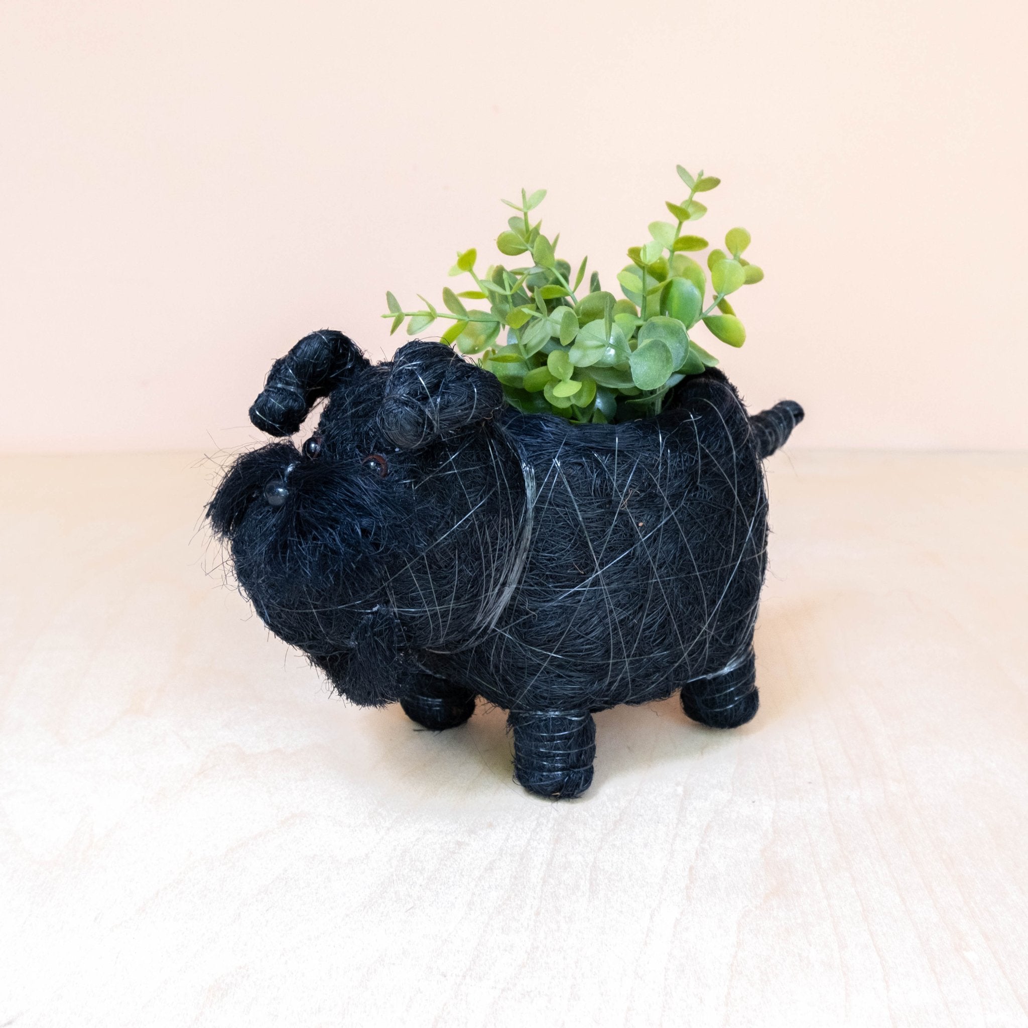 Pot de fleurs Bébé Schnauzer - Fibre de coco