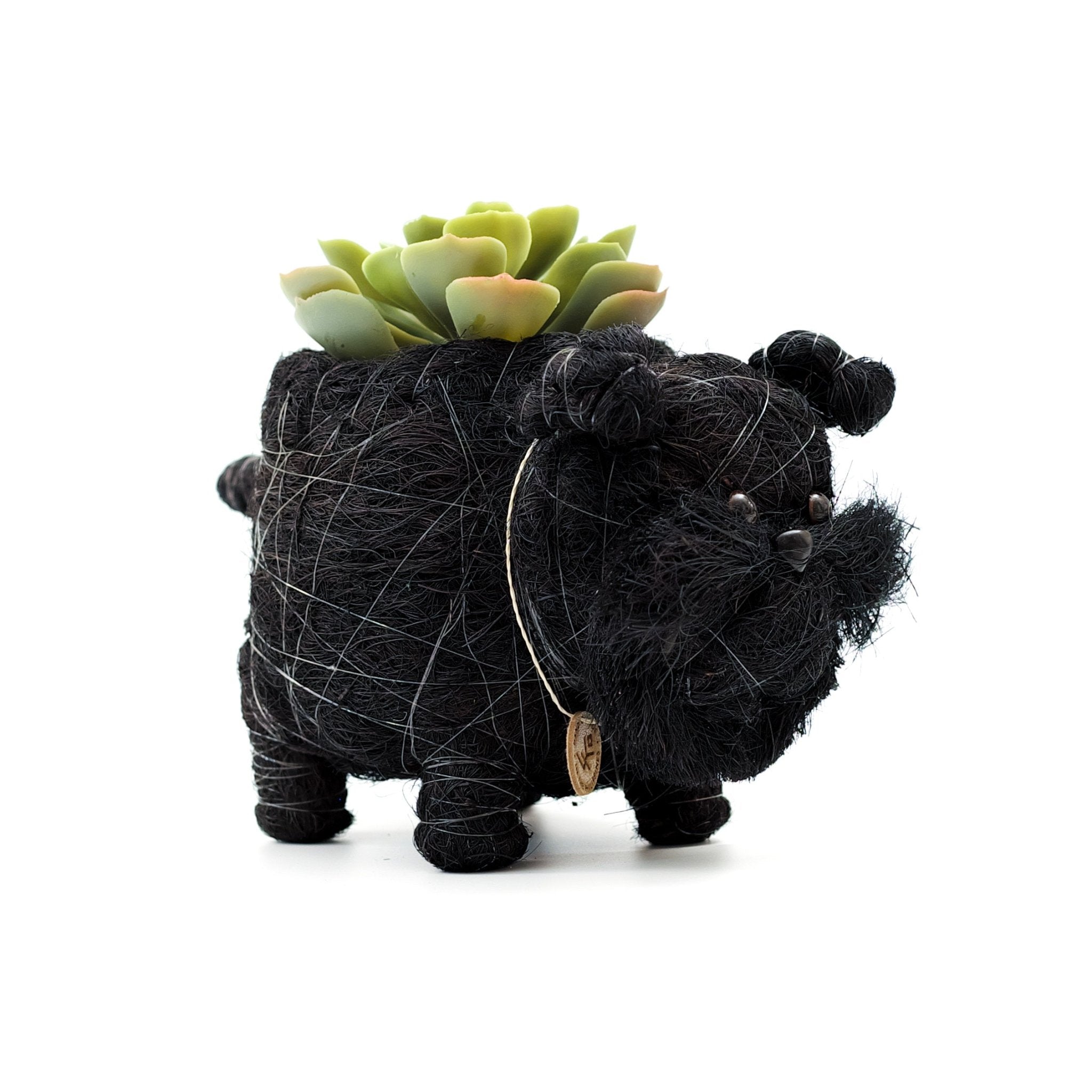 Pot de fleurs Bébé Schnauzer - Fibre de coco