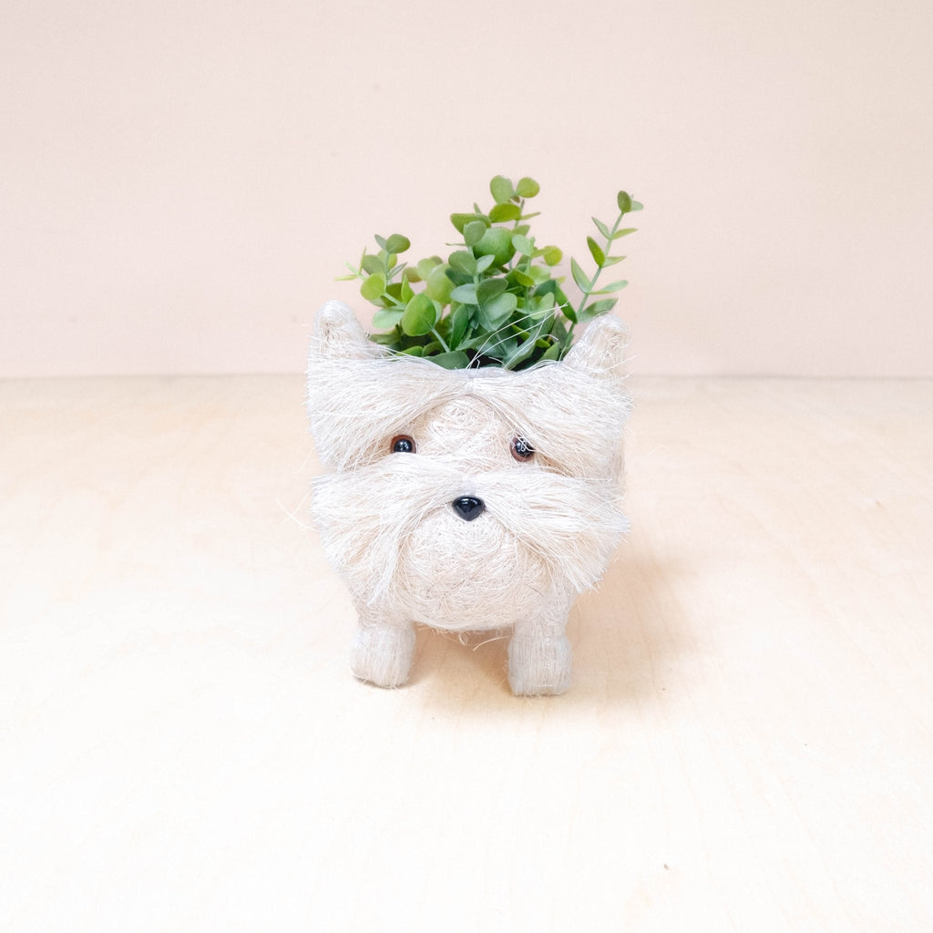 Jardinière bébé Westie - Pots faits main