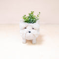 Jardinière bébé Westie - Pots faits main