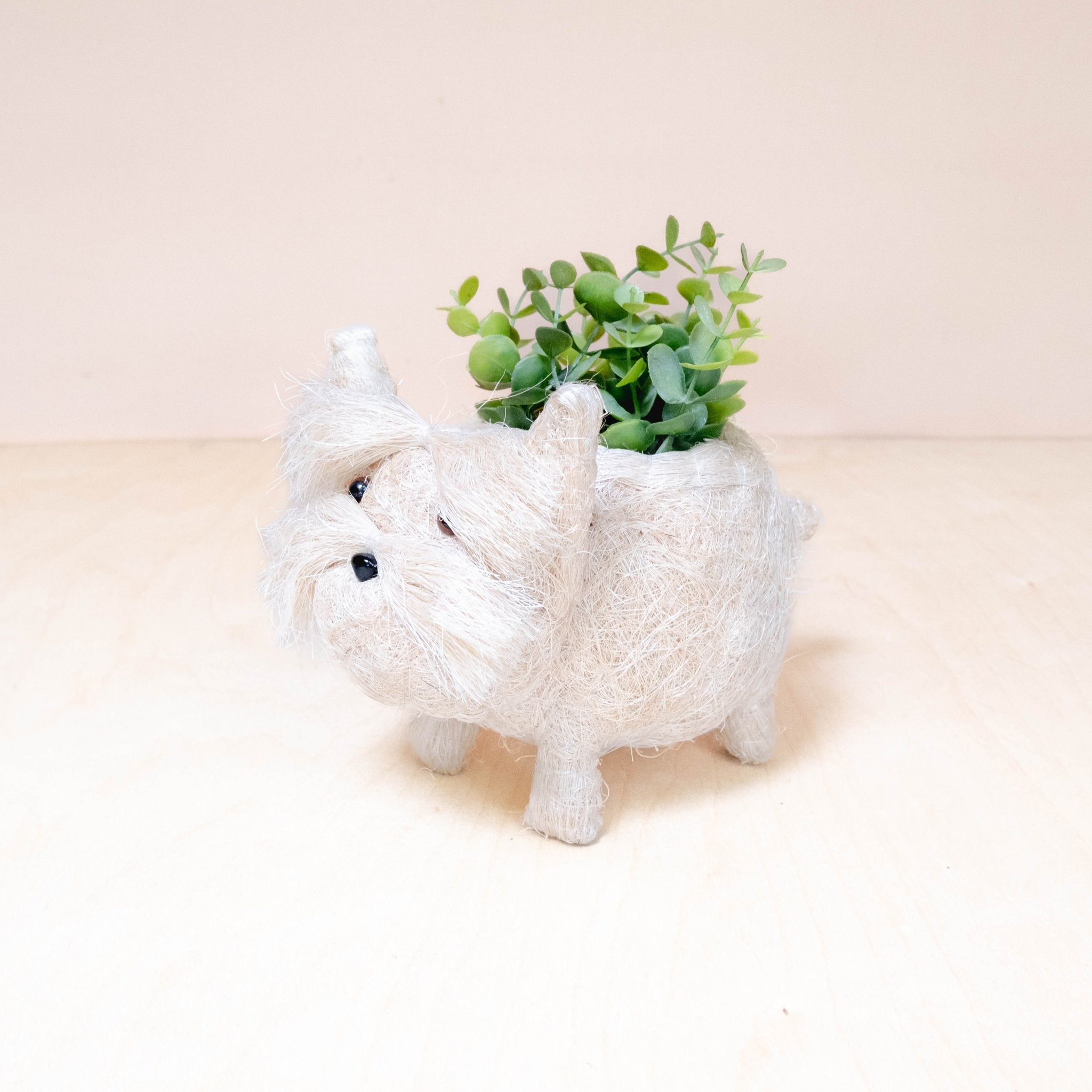 Jardinière bébé Westie - Pots faits main