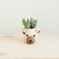 Cache-pot Ours - Cache-pots Têtes d'animaux