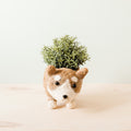 Pot de succulente Corgi - Jardinières faites à la main