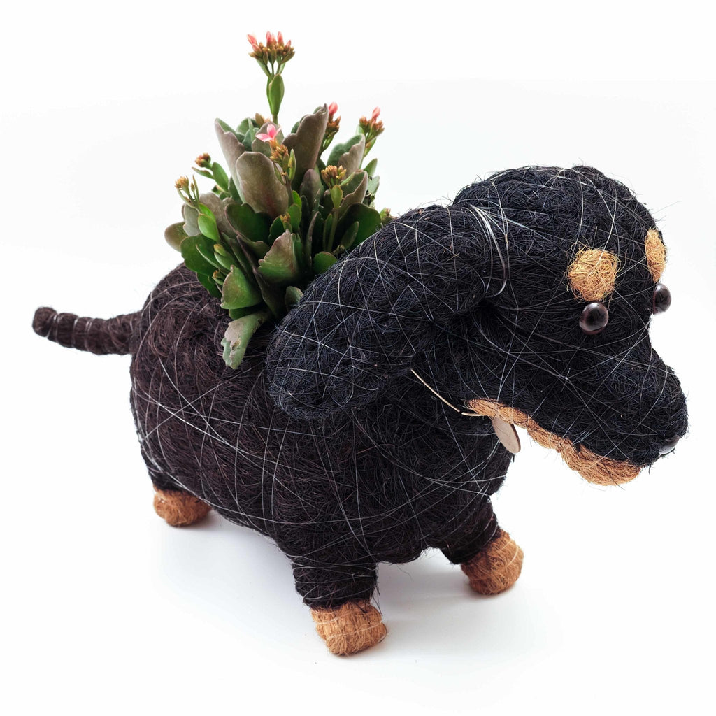 Jardinière Teckel - Jardinière Coco