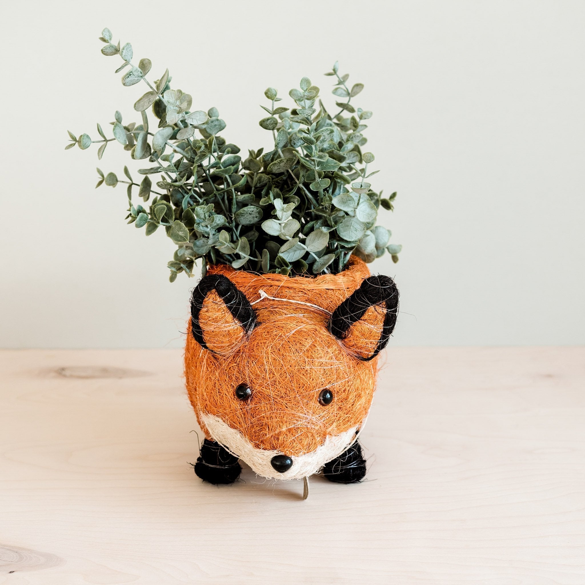 Jardinière renard - Jardinières en fibre de coco