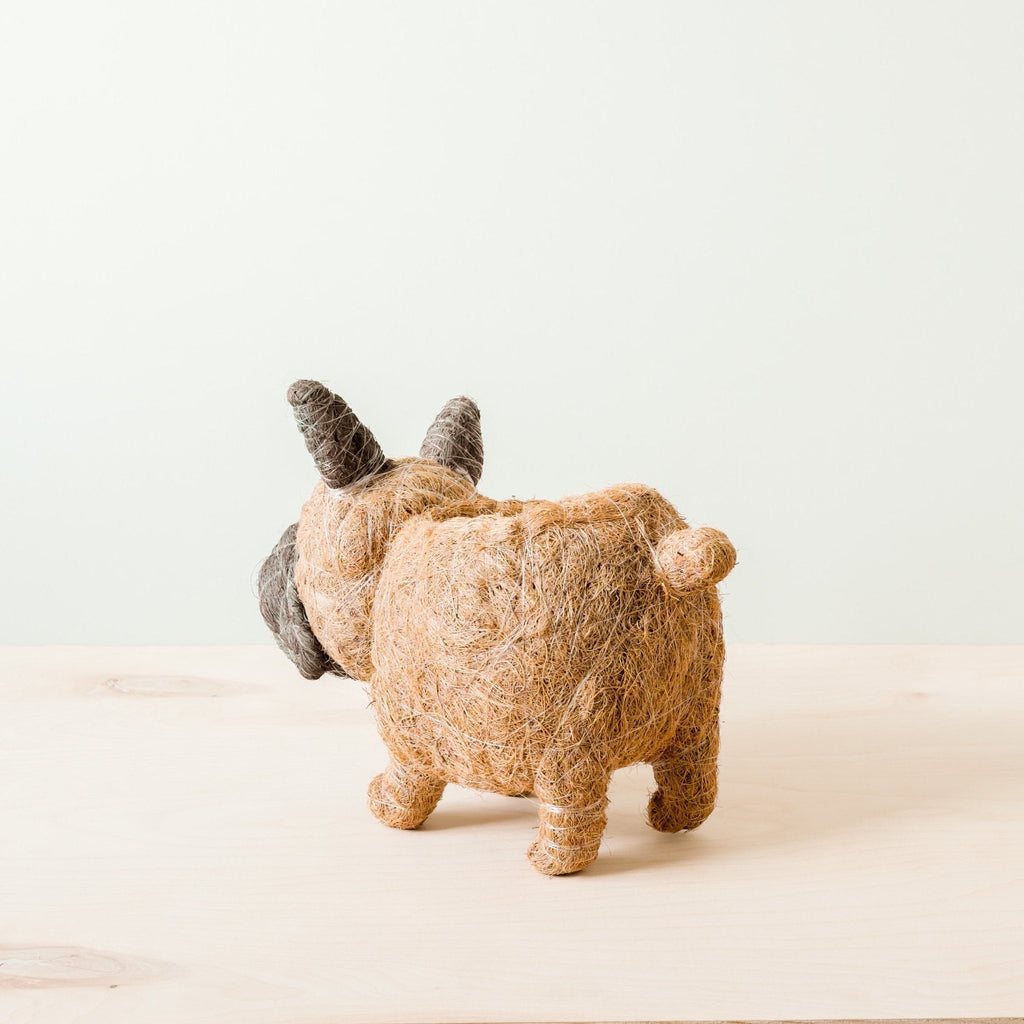 Jardinière Bouledogue Français - Pots en Fibre de Coco