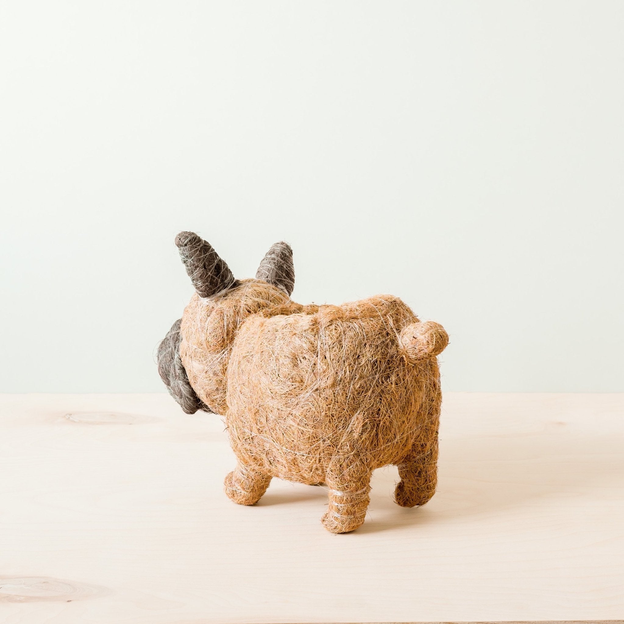 Jardinière Bouledogue Français - Pots en Fibre de Coco