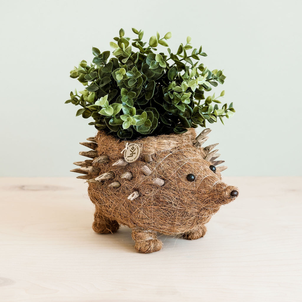Cache-pot Hérisson - Coco Planter