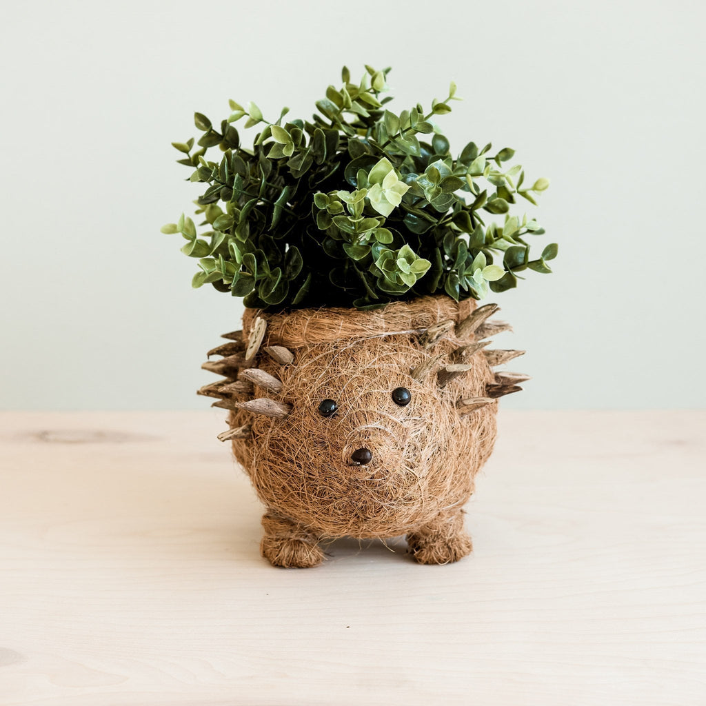 Cache-pot Hérisson - Coco Planter