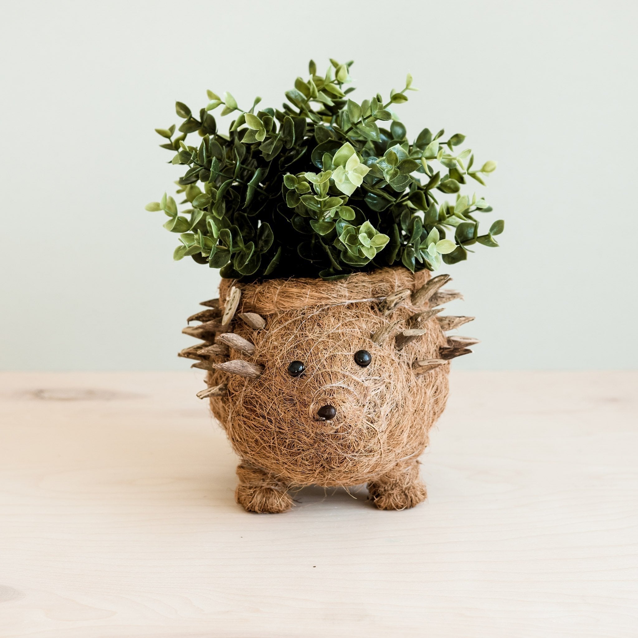 Cache-pot Hérisson - Coco Planter