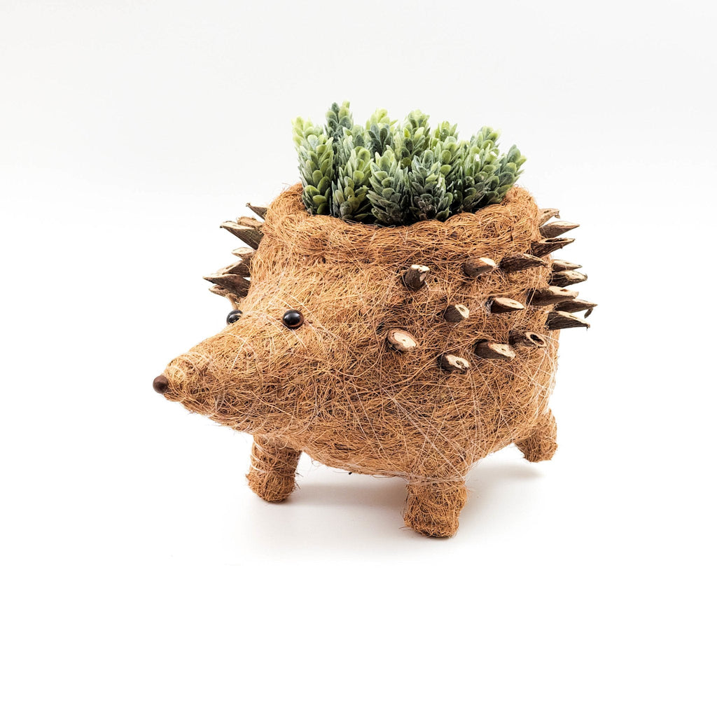 Cache-pot Hérisson - Coco Planter